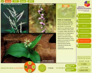 Detailed information about the plants in the garden.